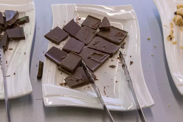 Frankonia - Helle Vegan Bio-Shokolade zum Probieren auf einem Teller