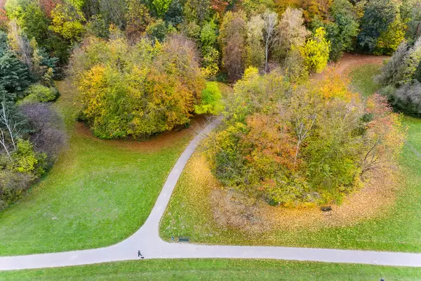 Frau mit Hund spaziert im Kölner Park "Forstbotanischer Garten und Arboretum" neben buntem Herbstlaub