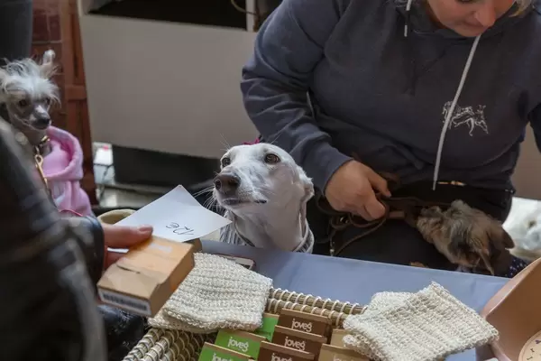 Frauchen mit Hunde in Jacken und mit Schleife am Joveg Hundeseife Stand bei der Hundemesse 2019 in Köln