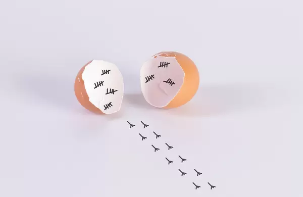 Freedom concepet with broken chicken egg