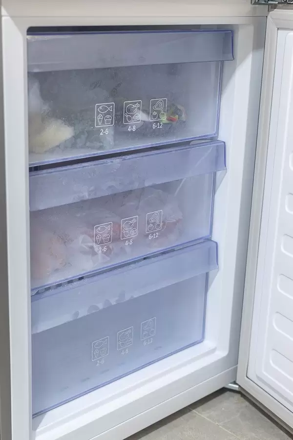 Freezer in the Fridge