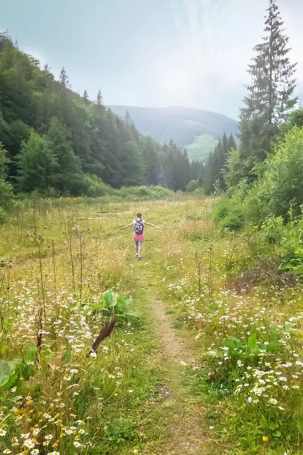 Freiheit in den Bergen