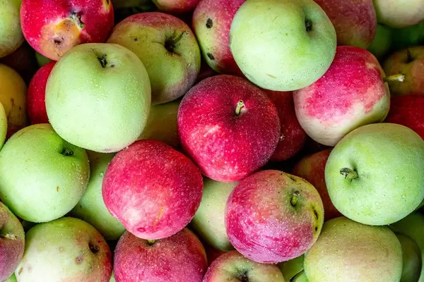 Fresh apples with water drops