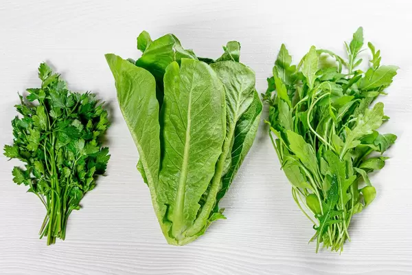 Fresh arugula, romaine salad and parsley. Top view (Flip 2019)