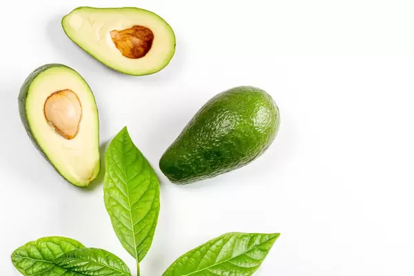 Fresh avocado with leaves on a white background