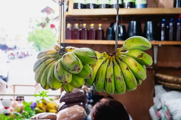 Fresh bananas hanging at a convenient store
