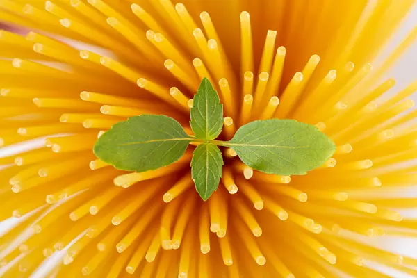 Fresh basil leaves on spaghetti background, close-up
