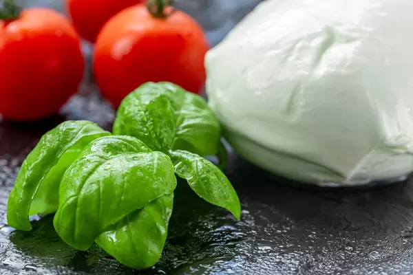 Fresh-Basil-leaves-tomatoes-and-mozzarella-cheese.jpg
