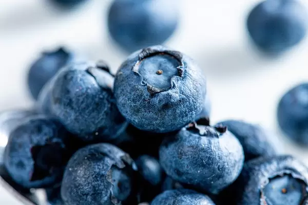 Fresh blueberries closeup (Flip 2019)