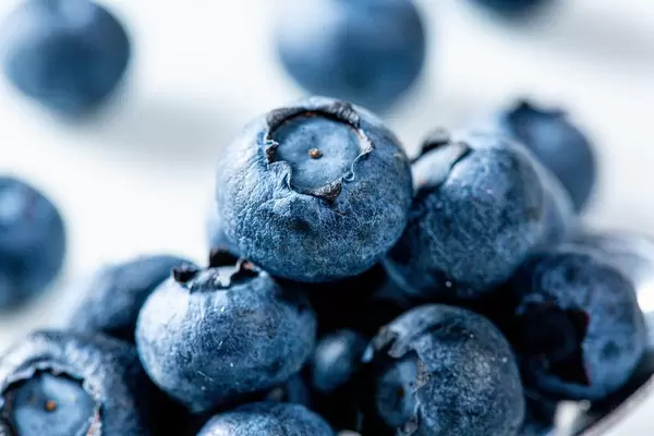 Fresh blueberries closeup