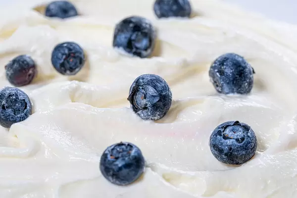 Fresh blueberries on white sweet cream (Flip 2019)