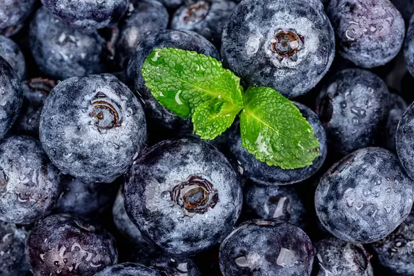 Fresh blueberries with mint leaves