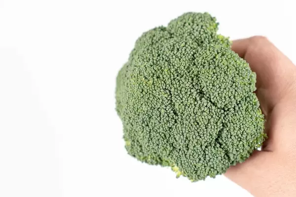 Fresh Broccoli in the hand above white background (Flip 2020)