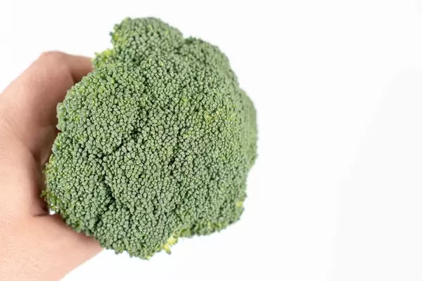 Fresh-Broccoli-in-the-hand-above-white-background.jpg