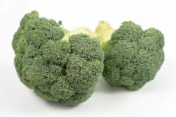Fresh Broccoli on the white background (Flip 2020)