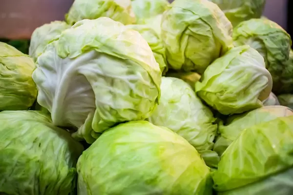 Fresh cabbages piled up together (Flip 2019)
