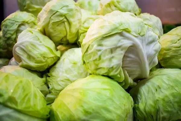 Fresh cabbages piled up together