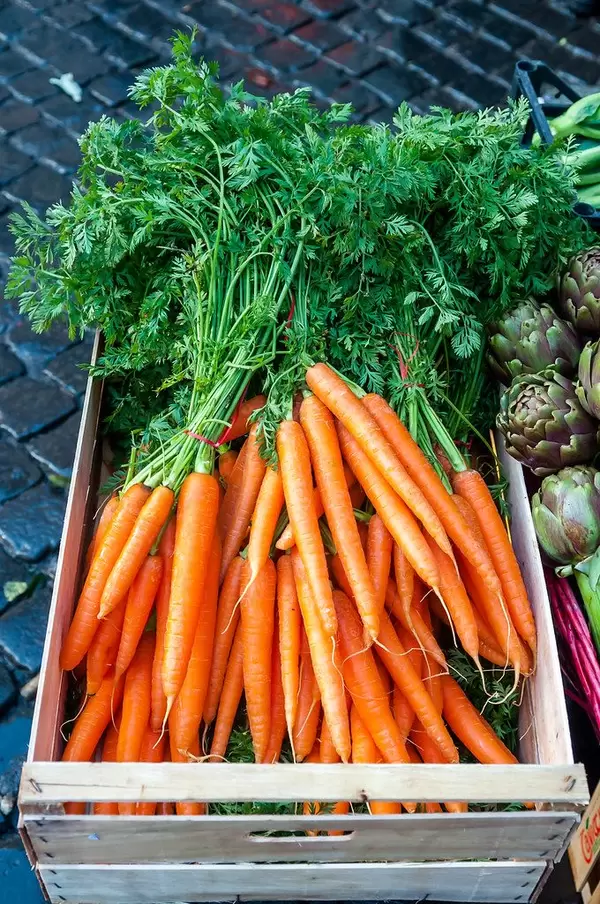 Fresh carrots at a vegetable market in Rom, Italy