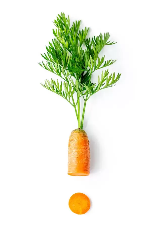 Fresh carrots with green leaves with one round piece on white