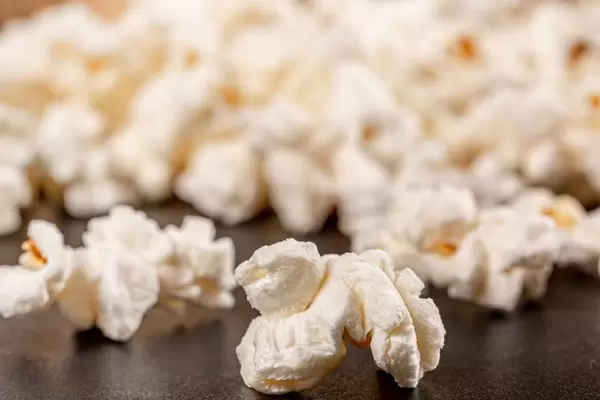 Fresh corn popcorn, close up