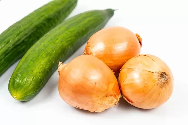 Fresh Cucumbers and Onions on the white table