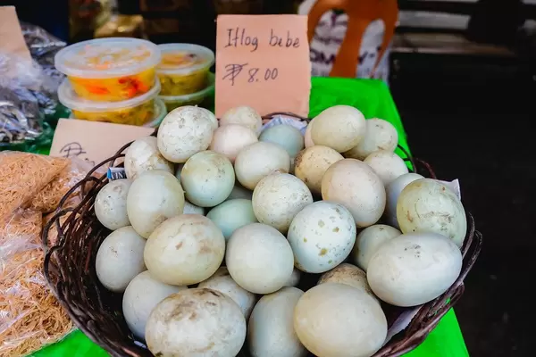 Fresh duck eggs on basket