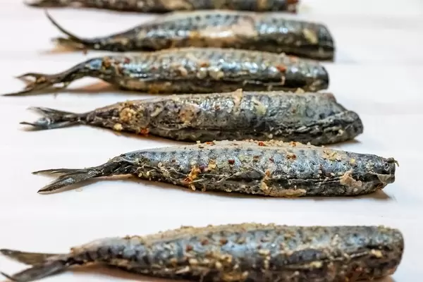 Fresh fish Mackerel with salt, lemon and spices