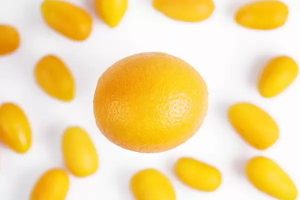 Fresh fruits, orange and Kumquats (Flip 2019)