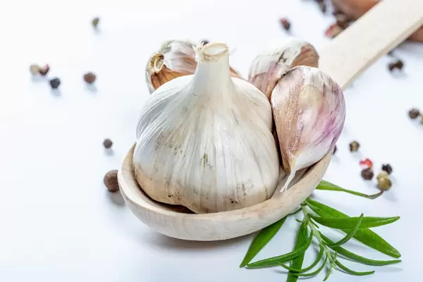 Fresh garlic in wooden spoon with rosemary branch