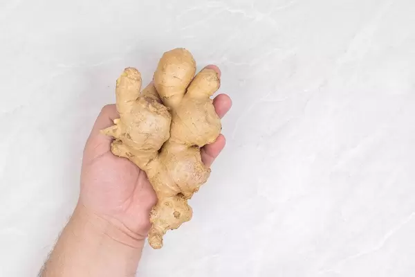 Fresh Ginger in the hand with copy space above marble table