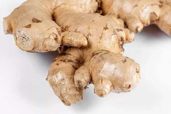 Fresh ginger root on white background