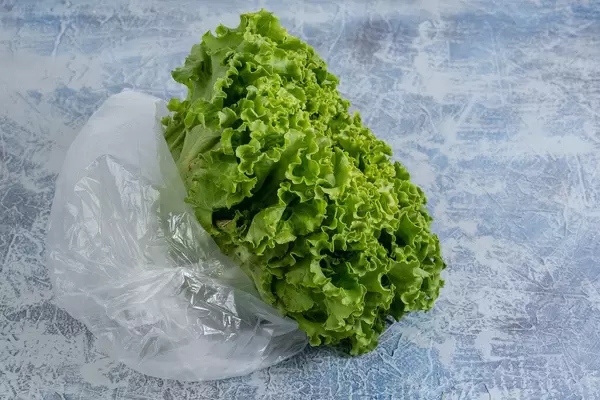 Fresh Green Lettuce in Plastic Bag with polution concept
