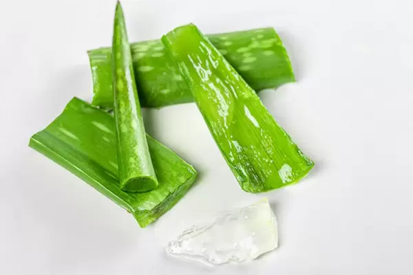 Fresh green pieces of aloe leaves on white background