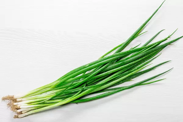 Fresh green young onion (Flip 2019)