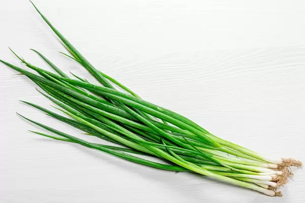 Fresh green young onion