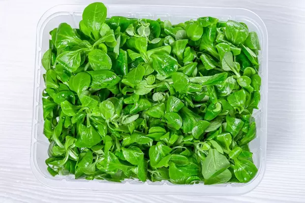 Fresh herbs corn salad with water drops. Top view (Flip 2019)