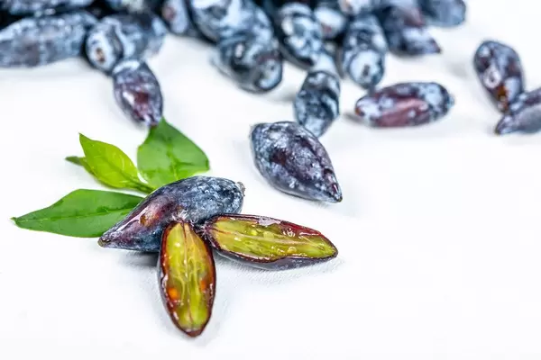 Fresh honeysuckle berries on white background with green leaves