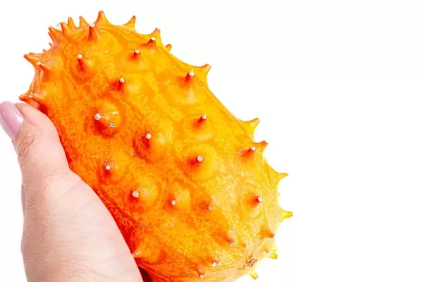 Fresh kiwano on white background, close up