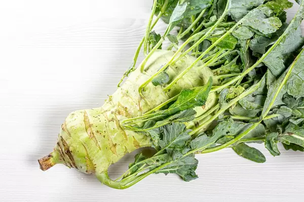 Fresh kohlrabi with green leaves on white wooden background
