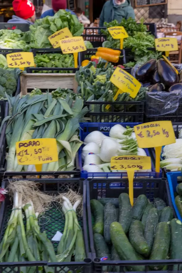Fresh leek, fennel, spring onion and cucumbers on the market in Rome