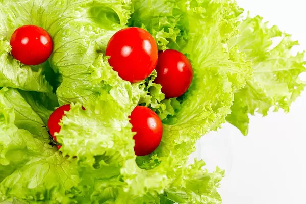 Fresh lettuce with cherry tomatoes on white background