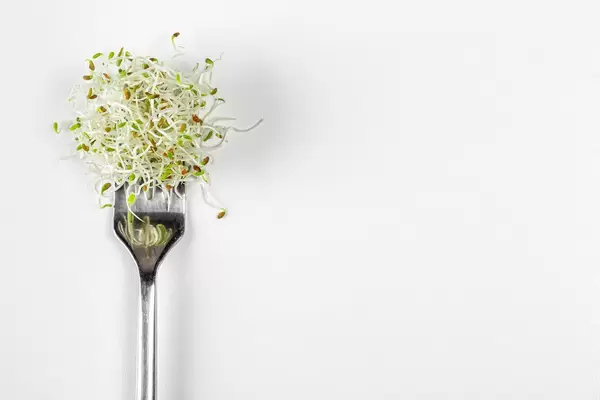 Fresh micro-green onions on a fork on a white background with free space (Flip 2020)