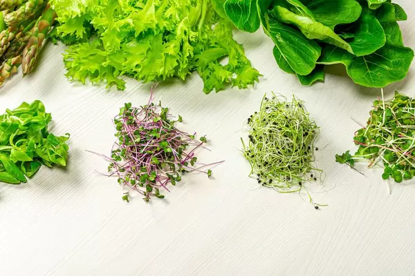 Fresh micro greens, Romaine lettuce, lettuce and asparagus on white wooden background (Flip 2019)