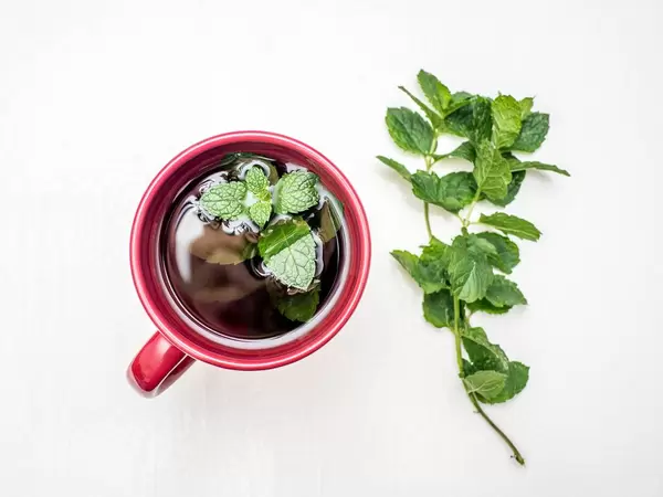 Fresh mint tea on white background  Flip 2019