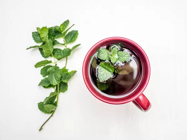 Fresh mint tea on white background
