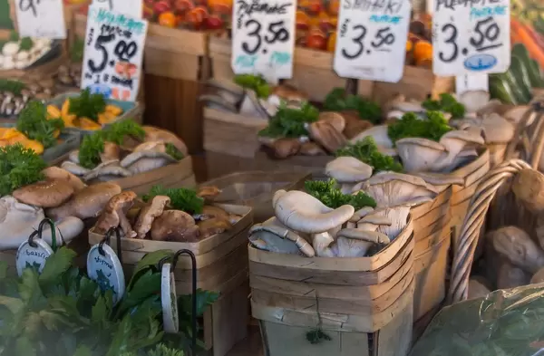 Fresh Mushroom At the Market