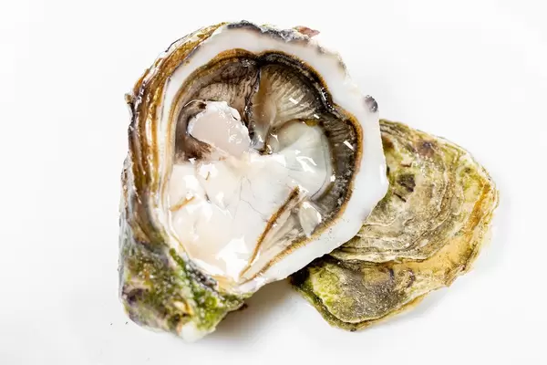 Fresh opened oyster on white background (Flip 2019)