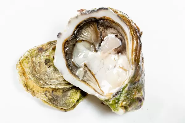 Fresh opened oyster on white background