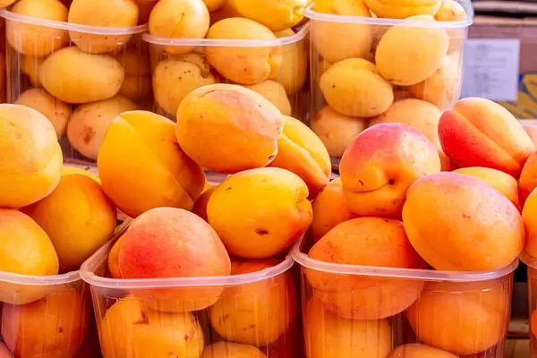 Fresh orange apricots in plastic tray (Flip 2019)