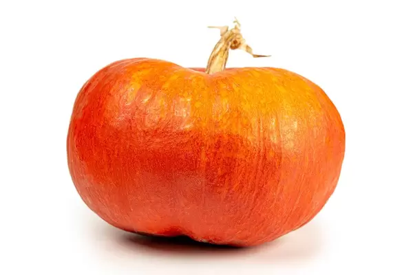 Fresh orange pumpkin on white background